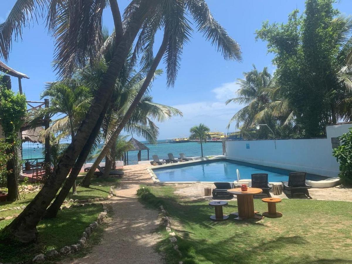 Casa Caribe Cancun Bagian luar foto View of the beach at the resort