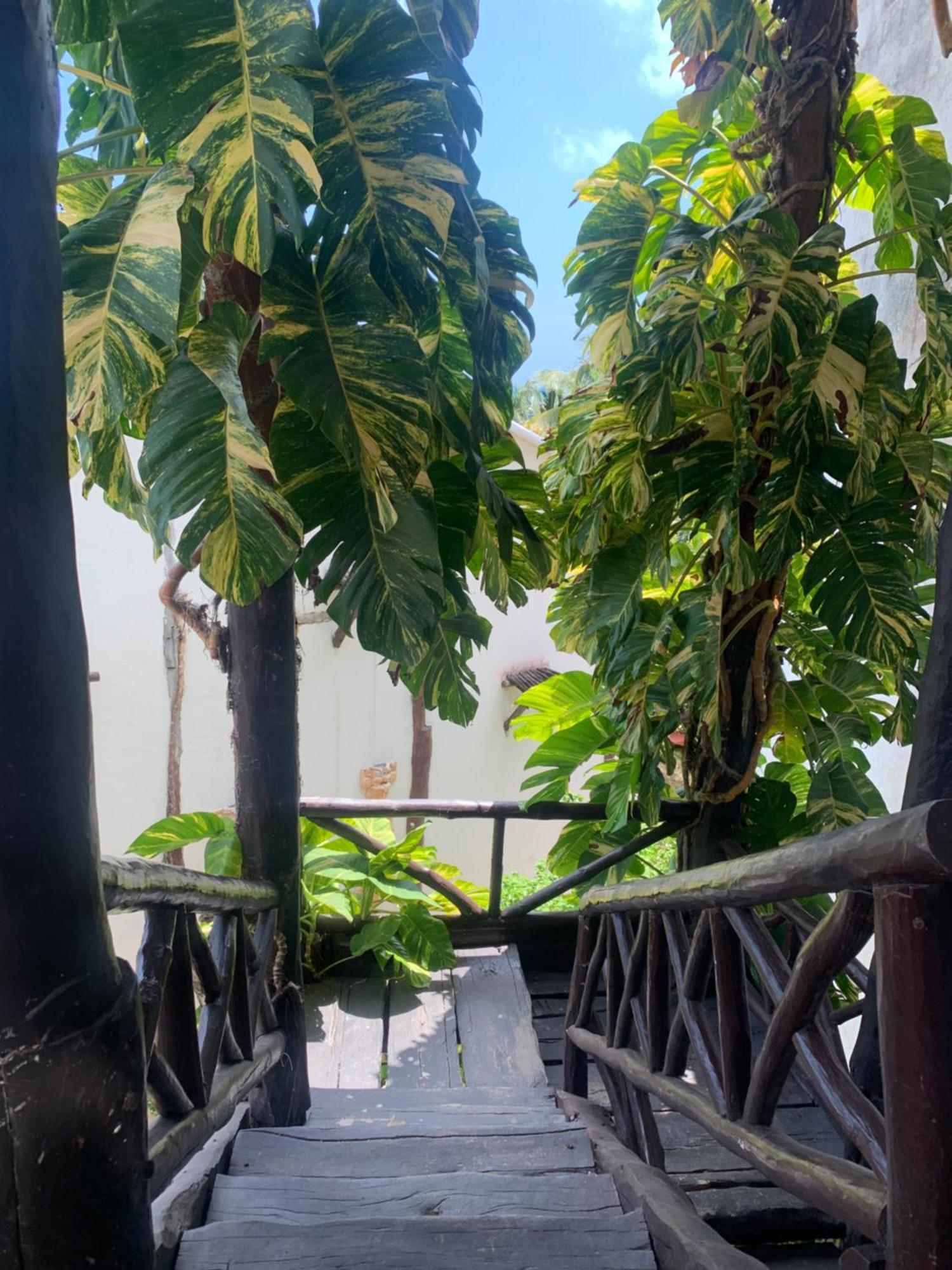 Casa Caribe Cancun Bagian luar foto A view of the garden